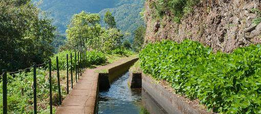 Madeira randevú